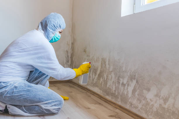 Mold Remediation specialist working in Louisville